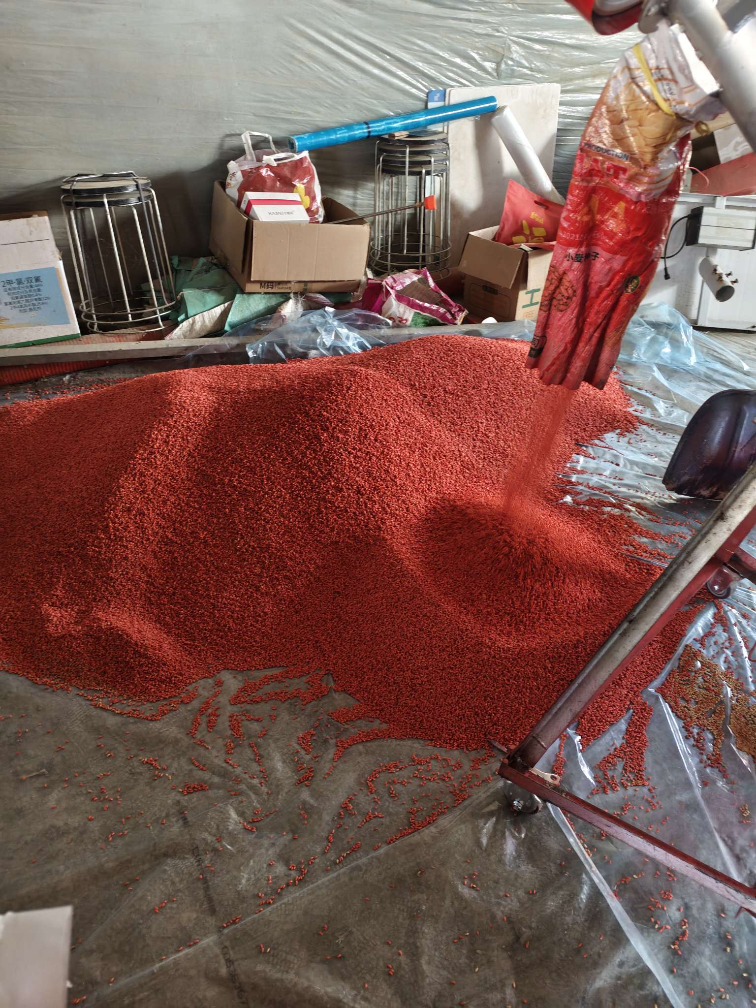 四冠包衣拌种，防虫防病壮苗增产。