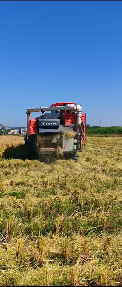 惠州基地，无人拖拉机收水稻了。