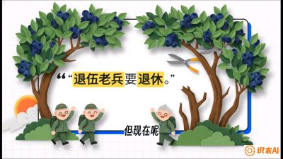 第7节：修剪决定产量（下）&mdash;&mdash;结果树的更新与疏果，课程：《蓝莓&ldquo;高产&rdquo;实战课：从选苗到丰收的10个关键点》