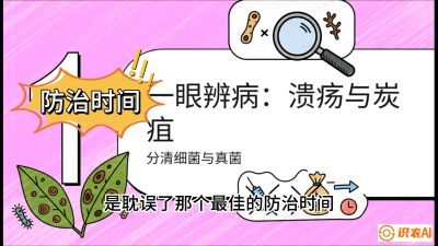 第三节：细菌与真菌&mdash;&mdash;溃疡病与炭疽病，课程：《柑橘十大病虫害：从入门到精通》