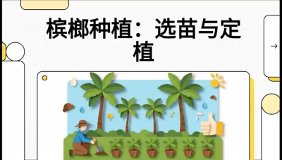 第01节：选苗与定植&mdash;&mdash;&ldquo;苗好一半收，底肥定千秋&rdquo;课程：《槟榔种植：从不懂到精通的10堂必修课》