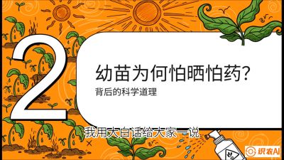 第02节：幼树管理&mdash;&mdash;&ldquo;防晒又防草，树势起得早&rdquo;，课程：《槟榔种植：从不懂到精通的10堂必修课》