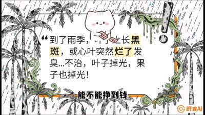 第05节：常见真菌病害&mdash;&mdash;&ldquo;炭疽与烂心，早防值千金&rdquo;《槟榔种植：从不懂到精通的10堂必修课》