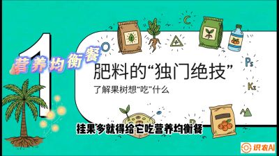 第07节：科学施肥&mdash;&mdash;&ldquo;氮磷钾配好，树壮果不倒