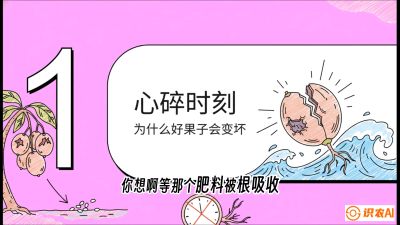 第08节：微量元素与保果&mdash;&mdash;&ldquo;补硼又补钙，果子不裂坏&rdquo;《槟榔种植：从不懂到精通的10堂必修课》