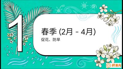 第10节：周年农事日历&mdash;&mdash;&ldquo;跟着节气走，丰产在手头&rdquo;《槟榔种植：从不懂到精通的10堂必修课》