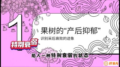 第2节：【冬肥策略】采后&ldquo;月子肥&rdquo;：大小年的精准干预术，课程：《柑橘底肥&ldquo;翻身账&rdquo;：从改土到高产的实战全书》