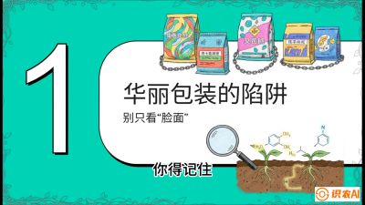 第4节：【黄金配方】底肥里的&ldquo;铁三角&rdquo;与&ldquo;微量雷区&rdquo;课程：《柑橘底肥&ldquo;翻身账&rdquo;：从改土到高产的实战全书》