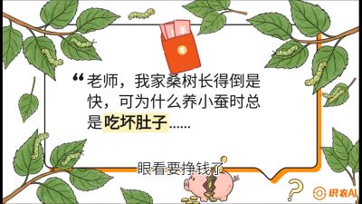 第01节：不仅仅是树&mdash;&mdash;顶级品种选配策略，课程：《桑海淘金：桑树高产与蚕桑安全进阶实战课》