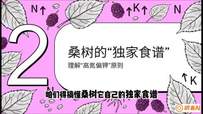 第04节：地下核动力&mdash;&mdash;桑树专用水肥一体化配方，课程：《桑海淘金：桑树高产与蚕桑安全进阶实战课》