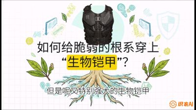 第三节：国产榴莲突围战：根系堡垒，菌根微生态构建与黄金定植窗口，课程：《国产榴莲突围战：从泰国经验到中国实操的8堂必修课（高阶实战版）》