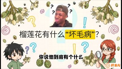 第六节：榴莲的午夜战事，夜间授粉战与花果期避雨策略，课程：《国产榴莲突围战：从泰国经验到中国实操的8堂必修课（高阶实战版）》