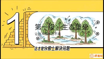 第七节：榴莲防御战：病虫害三级立体防控，疫霉菌与虫害的立体封锁线，课程：《国产榴莲突围战：从泰国经验到中国实操的8堂必修课（高阶实战版）》