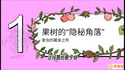 第3节：无人机专治&ldquo;打不透&rdquo;&mdash;&mdash;果树与高杆作物的穿透技巧，课程：《无人机植保搞钱必修课：从&ldquo;瞎飞&rdquo;到&ldquo;懂行&rdquo;的6步进阶》