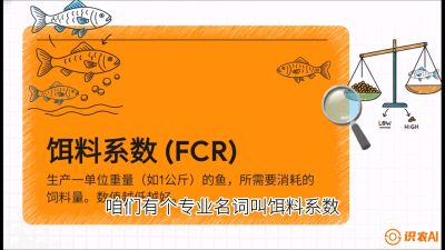 第五节：【高端单品&middot;鳜鱼】&ldquo;饲料鳜&rdquo;技术：打破吃活饵的高成本魔咒，课程：《黄金鳞甲：2025中国淡水鱼高效养殖实战营》