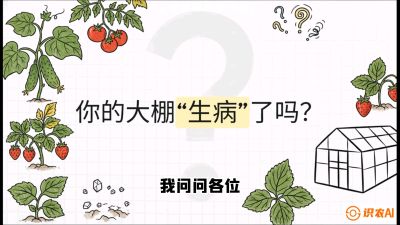 第2节（解毒篇）： 大棚里的&ldquo;红白绿&rdquo;警报&mdash;&mdash;读懂土壤盐渍化的求救信号，课程：《揭秘土壤的秘密：让土地帮你赚钱》#识农AI