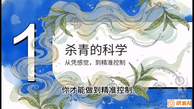 第05节（加工篇）：决胜2分钟：用&ldquo;数字温控&rdquo;破解杀青不匀，复刻大师级手工口感，课程：《茶金时代：从&ldquo;看天吃饭&rdquo;到&ldquo;精准控局&rdquo;的茶叶高产提质实战课》