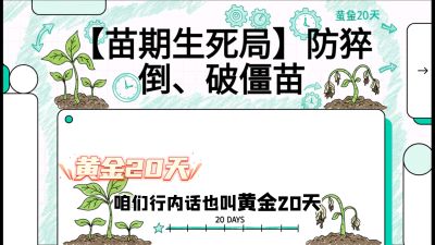 第2节：【苗期生死局】防猝倒、破僵苗，决定后期产量的&ldquo;黄金20天&rdquo;，课程：《辣椒种植实战特训营，从工业辣椒到精品小米辣，教你如何把&ldquo;草&rdquo;种成&ldquo;金&rdquo;》