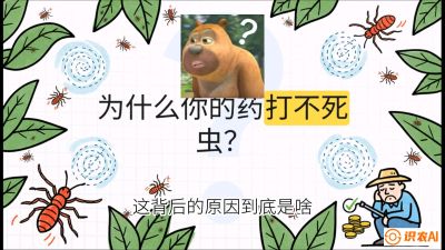 第4节：【虫害歼灭战】打不死的蓟马、隐形的茶黄螨：抗性时代的&ldquo;混配绝杀&rdquo;，课程：《辣椒种植实战特训营，从工业辣椒到精品小米辣，教你如何把&ldquo;草&rdquo;种成&ldquo;金&rdquo;》