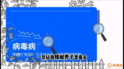 第5节：【病毒病阻击】辣椒的&ldquo;癌症&rdquo;怎么治？从&ldquo;绝收恐慌&rdquo;到&ldquo;带毒生产&rdquo;的逆转术，课程：《辣椒种植实战特训营，从工业辣椒到精品小米辣，教你如何把&ldquo;草&rdquo;种成&ldquo;金&rdquo;》