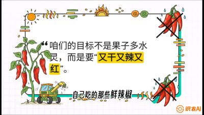 第7节：【工业辣椒专场】追求极致辣度！干物质提升与机械化采收的&ldquo;催红秘籍&rdquo;，课程：《辣椒种植实战特训营，从工业辣椒到精品小米辣，教你如何把&ldquo;草&rdquo;种成&ldquo;金&rdquo;》