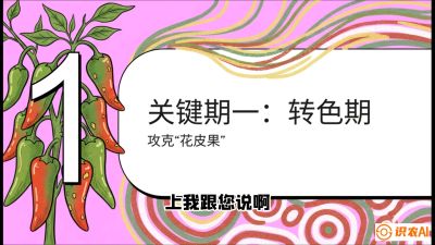 第8节：【小米辣线椒专场】颜值即正义！防花皮、防炭疽，打造收购商抢着要的&ldquo;精品果&rdquo;，课程：《辣椒种植实战特训营，从工业辣椒到精品小米辣，教你如何把&ldquo;草&rdquo;种成&ldquo;金&rdquo;》