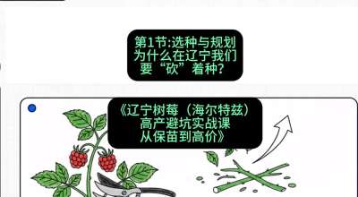 第一节： 选种与规划&mdash;&mdash;为什么在辽宁我们要&ldquo;砍&rdquo;着种？，课程：《辽宁树莓（海尔特兹）高产避坑实战课：从保苗到高价》
