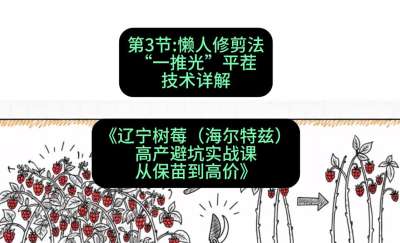 第三节： 懒人修剪法&mdash;&mdash;&ldquo;一推光&rdquo;平茬技术详解，课程：《辽宁树莓（海尔特兹）高产避坑实战课：从保苗到高价》