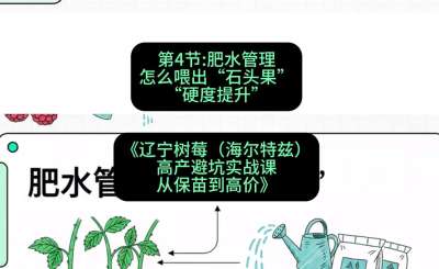第四节： 肥水管理&mdash;&mdash;怎么喂出&ldquo;石头果&rdquo;（硬度提升），课程：《辽宁树莓（海尔特兹）高产避坑实战课：从保苗到高价》