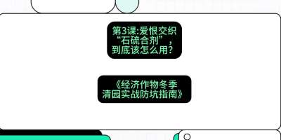 第3节：【核武药剂】爱恨交织的&ldquo;石硫合剂&rdquo;，到底该怎么用？，课程：《经济作物冬季清园&middot;实战防坑指南》#识农AI