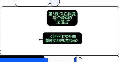 第5节：【柑橘清园】采后恢复与红蜘蛛的&ldquo;拉锯战&rdquo;，课程：《经济作物冬季清园&middot;实战防坑指南》#识农AI