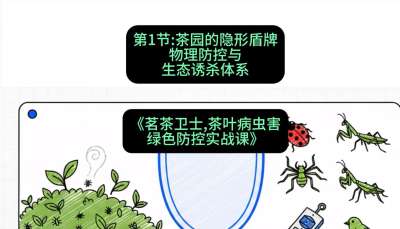 第01节：茶园的&ldquo;隐形盾牌&rdquo;&mdash;&mdash;物理防控与生态诱杀体系，课程：《茗茶卫士&mdash;&mdash;茶叶病虫害绿色防控实战课》#识农AI