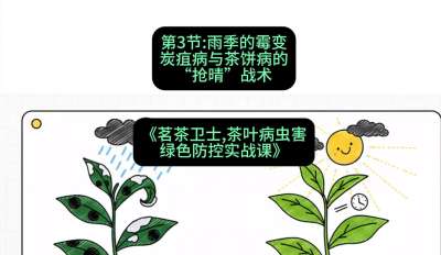第03节：雨季的霉变&mdash;&mdash;炭疽病与茶饼病的&ldquo;抢晴&rdquo;战术，课程：《茗茶卫士&mdash;&mdash;茶叶病虫害绿色防控实战课》#识农AI