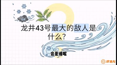 第04节：龙井双璧&mdash;&mdash;龙井43与群体种的差异化护养（重点），课程：《茗茶卫士&mdash;&mdash;茶叶病虫害绿色防控实战课》#识农AI