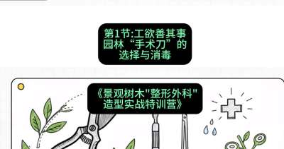 第01节：工欲善其事&mdash;&mdash;园林&ldquo;手术刀&rdquo;的选择与消毒，课程：《景观树木&ldquo;整形外科&rdquo;造型实战特训营》#识农AI