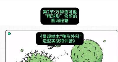 第02节：万物皆可盘&mdash;&mdash;&ldquo;精球形&rdquo;修剪的圆润秘籍，课程：《景观树木&ldquo;整形外科&rdquo;造型实战特训营》#识农AI