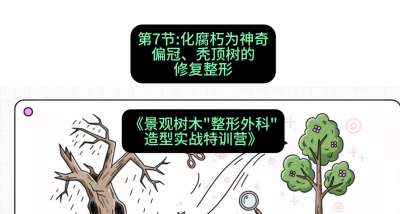 第07节：化腐朽为神奇&mdash;&mdash;偏冠、秃顶树的修复整形，课程：《景观树木&ldquo;整形外科&rdquo;造型实战特训营》#识农AI