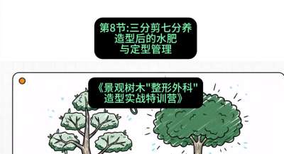 第08节：三分剪七分养&mdash;&mdash;造型后的水肥与定型管理，课程：《景观树木&ldquo;整形外科&rdquo;造型实战特训营》#识农AI