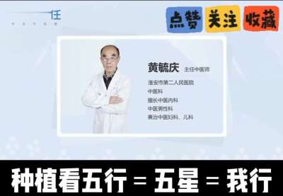中药材淫羊藿怎么种？听专家一次讲明白！不挑地块好管理，耐寒耐旱省心省力，新手也能轻松上手，药用价值高、市场需求稳，妥妥的增收好品种～ 从生长习性到采收要点，干货满满无废话，种植疑问直接问，一对一答疑解