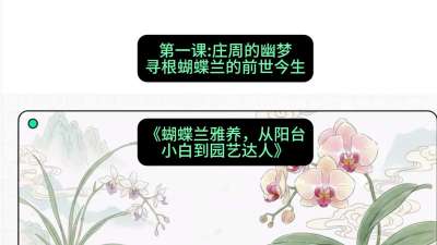 第一节：庄周的幽梦：寻根蝴蝶兰的前世今生，课程：《蝴蝶兰雅养六讲：从阳台小白到园艺达人》#识农AI