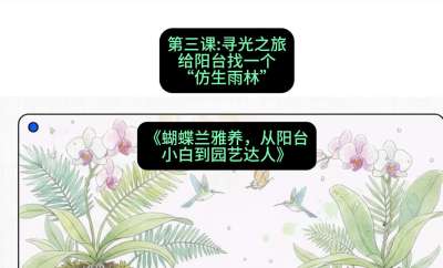 第三节：寻光之旅：给阳台找一个&ldquo;仿生雨林&rdquo;，课程：《蝴蝶兰雅养六讲：从阳台小白到园艺达人》#识农AI