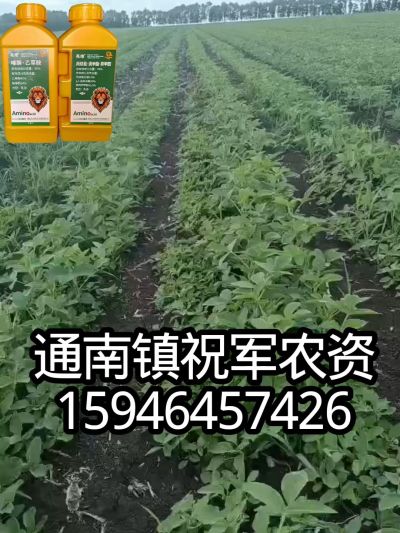 大豆苗前封闭，可封红根苋菜，灰菜，兰花菜，野豆子，捞豆秧等恶性杂草，封杀兼备的高端产品。