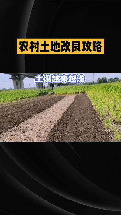1. 先搞懂：你到底要改良哪块地、种什么
 
- 土土土在哪里？
就是你自家农田、菜地、果园，哪块地想种庄稼，就测哪块地的土。
​
- 有水没有水？
有水能浇：改良更省事，施肥、调酸碱都好操作。
没水