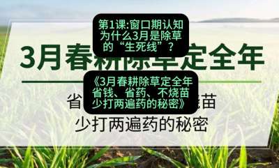 第1节：窗口期认知，为什么3月是除草的&ldquo;生死线&rdquo;？，课程：《3月春耕除草定全年：省钱、省药、不烧苗、少打两遍药的秘密》