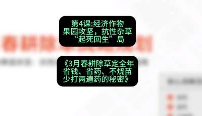 第4节：经济作物果园攻坚，抗性杂草&ldquo;起死回生&rdquo;局，课程：《3月春耕除草定全年：省钱、省药、不烧苗、少打两遍药的秘密》